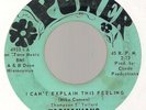 TASMANIANS I Cant Explain This Feeling ORIG 1967 US POWER 45 WPB FLORIDA GARAGE