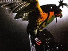 BUDGIE -  In For The Kill  (LP) (180g Vinyl) (M/M) (Sealed)