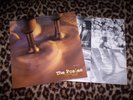 POSIES   FROSTING ON THE BEATER. Orig UK 1993 LP. Big Star.
