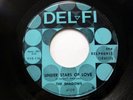 the SHADOWS 45 Under Stars Of Love / Jungle Fever DOO WOP Original DEL-FI e558