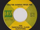 Hear- Rare Garage 45- The Thirteenth Floor Elevators - You're Gonna Miss Me - M-