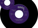 Teenage Head ?– Frantic Romantic - Canada Punk Rock - Scarce 45 WRC3-4037