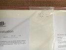 Angels of Light - We Are Him LP - SEALED TEST PRESSING - Michael Gira/ SWANS