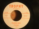CYCLONES, THE---BULLWHIP ROCK  (Instrumentals 45's)