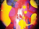 Balance and Composure - Things We Think We re Missing Vinyl LP No Sleep NEW