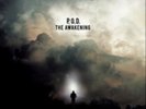 P.O.D.-The Awakening  Vinyl / 12
