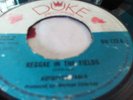 Augustus Pablo ?– Reggae In The Fields  / VG / Listen