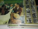 the BEACH BOYS Pet Sounds Orig Mono LP T2458 RIAA#3 F21/G24 matrix SURF RARE '66