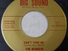 RARE FUZZ GARAGE THE BENDERS CAN'T TAKE ME/GOT ME DOWN BIG SOUND 3006 NEAR MINT