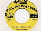 CAROL AND GERRI    *   How Can I Ever Find A Way  *    MGM  -  70 ' s Pressing