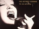 DETROIT COBRAS, The - Life Love & Leaving - Vinyl (LP + insert)