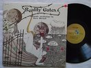 STEVE BIRCHALL - Reality Gates 12'' LP US OV-1712 Electronic Meditations RAR