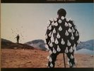 PINK FLOYD - Delicate Sound Of Thunder (Do-LP 1988)