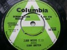 Rare 45rpm- Terry Britten - 2000 weeks- Columbia -1969 -Demo- Pristine.