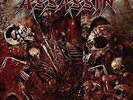 Assassin - Combat Cathedral  VINYL LP + CD  NEU/OVP