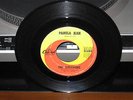 THE SURVIVORS PAMELA JEAN/AFTER THE GAME 45RPM RECORD BRIAN WILSON STRONG VG