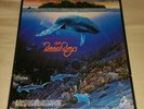 the beach boys ( summer  in paradise )