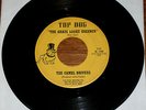THE CAMEL DRIVERS-Grass Looks Greener 45  DETROIT GARAGE FUZZ PSYCH TOP DOG HEAR