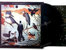 The Notwist - The Devil, You + Me GER LP 2008 FOC + Innerbag + Poster //1