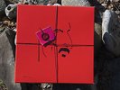 FRANK ZAPPA - YES...IT'S JUST ANOTHER ZAPPA BOX (4 LP-Box) #7/10 - MA/Phily '88