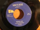 SONICS, THE---TRIANGLE   LOVE   (Groups 45's)