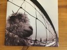 Vs. [LP] by Pearl Jam (Vinyl, Oct-1993)