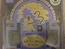 KING GIZZARD AND THE LIZARD WIZARD Flying Microtonal Banana Reptilian Poison Wax
