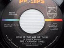 CHANGIN TIMES garage VG++ 45 HOW IS THE AIR UP THERE YOUNG & INNOCENT GIRL dm104