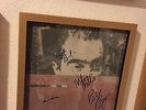 REM full band signed lp Life's Rich Pageant (R.E.M. Vinyl Album)