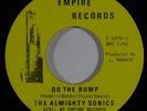 Funk 45 ALMIGHTY SONICS Do The Bump/Watergating At The Bus Stop on Empire VG++