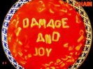 THE JESUS AND MARY CHAIN Damage and Joy - 2LP / Black Vinyl