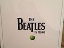 THE BEATLES IN MONO VINYL BOX SET