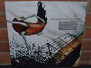 *CIRCA SURVIVE - Juturna, Ltd DLX ORANGE/WHITE HAZE VINYL Gatefold + Download