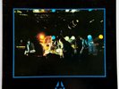 NEW RACE The First And The Last  AUSTRALIAN LP Rock Punk Indie RADIO BIRDMAN