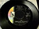 GARAGE PUNK/PSYCH 45 UNRELATED SEGMENTS Where You Gonna Go / Its Gonna Rain HEAR
