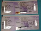 2 places de Celine Dion au Stade Pierre Mauroy (Lille) le 1er Juillet (lot A)