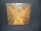 CYNIC FOCUS LP VINYL RARE MINT   DEATH PESTILENCE ATHEIST GORGUTS LIMITED