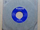 The Rogues Sam / Talkin About You rare 1966 US Welhaven label 45