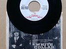 The Epics White Collar House rare 1966 US Dolphin label pic sleeve 45