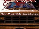 GIN BLOSSOMS-NEW MISERABLE EXPERIENCE  (US IMPORT)  VINYL LP NEW