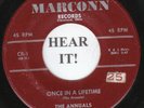 The Annuals CLEVELAND DOO WOP 45 (Marconn 1) Once In A Lifetime/Hungry  RARE