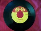 Vintage MN Garage 45 - BLEACH BOYS 