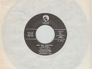 PATTI SMITH Hey Joe (version) / Piss factory 1975 ISSUE US 7