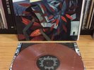 Hot Water Music - Never Ender & Demos Vinyl Record