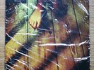 ELIZABETH FRASER (Cocteau Twins) Moses 12