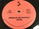 Hear Rare Digi Electro Roots Psych Reggae 12