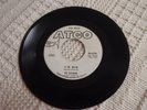 THE SKYLINERS  I'D DIE/SINCE I FELL FOR YOU  ATCO 6270