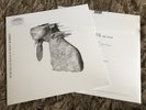 Coldplay - A Rush Of Blood To The Head - Sealed Vinyl LP Scientist In My Place