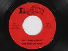RAINDEAR ARMY Subterranean Sunset Ledger Illinois Garage Psych Fuzz 45 HEAR