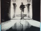 Rare  Original NEIL YOUNG Le Noise 2010 OUT OF PRINT 1st Pressing Daniel Lanois